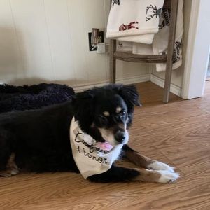 Meet your Posher, Tina